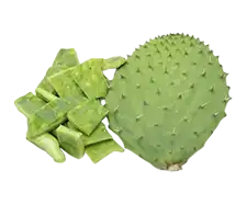Nopal cladode Extract